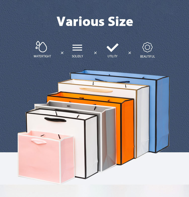 Custom Shopping Paper Gift Bag 