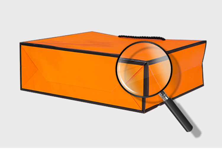 Custom Shopping Paper Gift Bag 