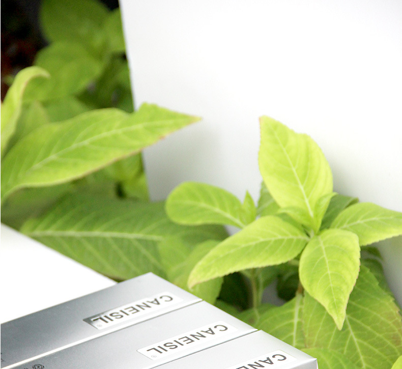 Customize Cosmetics Packaging Box